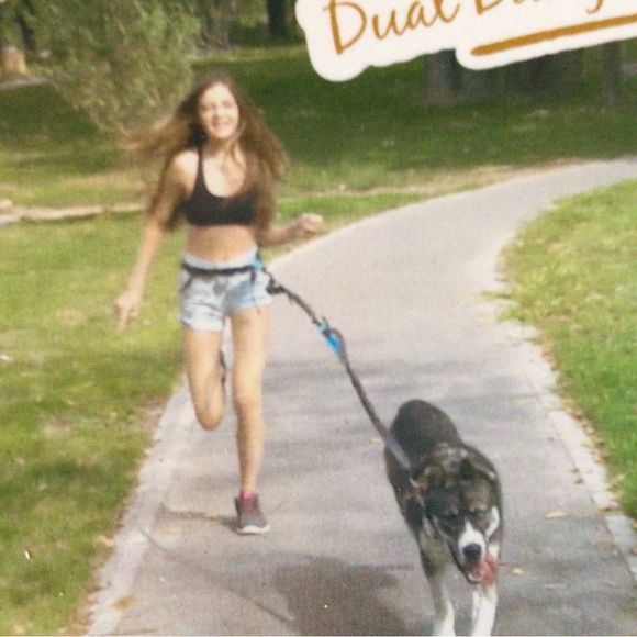 NWOT hands free jogging/walking dog leash - Picture 6 of 6